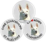 AdriLeo Kühlschrankmagnet - 3er Set – weißer Schäferhund/Schweizer von AdriLeo