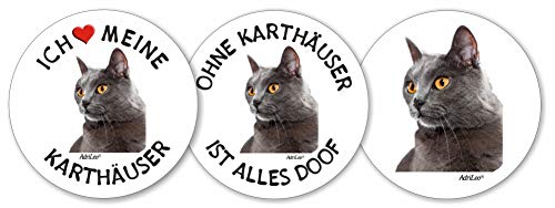 AdriLeo - Runde Aufkleber 3er-Set - Karthäuser - Deko Autoaufkleber Sticker Katze AdriLeo - Runde Aufkleber 3er-Set - Karthäuser - Deko Autoaufkleber Sticker Katze von AdriLeo
