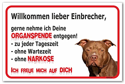 AdriLeo Schild - Vorsicht American Staffordshire Terrier - Willkommen lieber Einbrecher - (40x60cm) / Achtung Hund Wachhund Kampfhund von AdriLeo