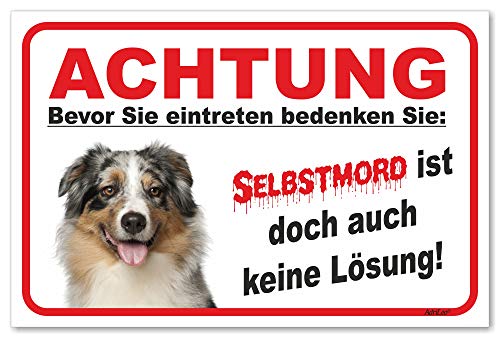 AdriLeo Schild - Vorsicht Australian Shepherd Blue-Merle - Selbstmord - (15x20cm) / Aussie Achtung Hund Wachhund robust langlebig UV-beständig wetterfestes Warnschild von AdriLeo