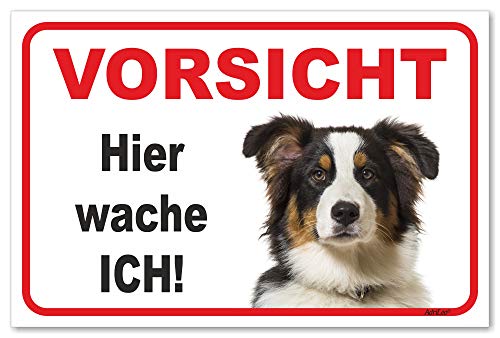AdriLeo Schild - Vorsicht Australian Shepherd Tri-Color - Hier wache ich - (30x40cm) / Aussie Achtung Hund Wachhund robust langlebig UV-beständig wetterfestes Warnschild von AdriLeo