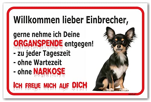 AdriLeo Schild - Vorsicht Chihuahua- Willkommen lieber Einbrecher - (40x60cm) / Achtung Familienhund Wachhund kleiner Hund von AdriLeo