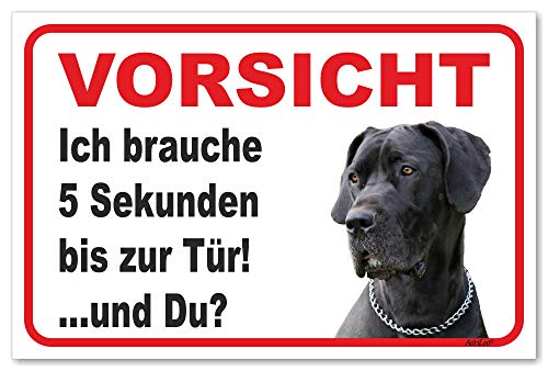 AdriLeo Schild - Vorsicht Deutsche Dogge - 5 Sekunden - (15x20cm) / Graues Fell Achtung Hund Wachhund von AdriLeo