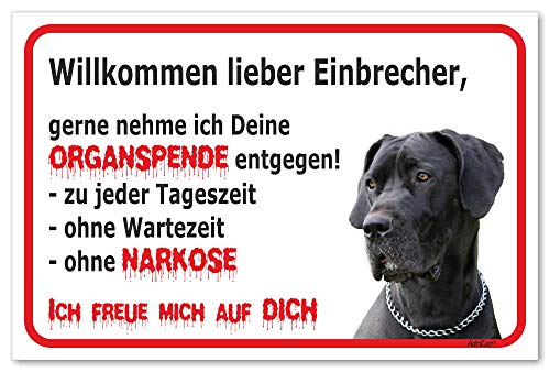 AdriLeo Schild - Vorsicht Deutsche Dogge - Willkommen lieber Einbrecher - (40x60cm) / Graues Fell Achtung Hund Wachhund von AdriLeo