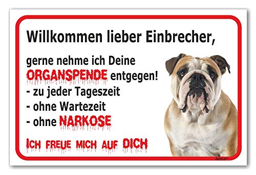 AdriLeo Schild - Vorsicht Englische Bulldogge - Willkommen lieber Einbrecher - (40x60cm) / Achtung Hund Wachhund von AdriLeo