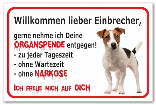 AdriLeo Schild - Vorsicht Jack Russell Terrier - Willkommen lieber Einbrecher - (30x40cm) / Achtung Hund Wachhund von AdriLeo