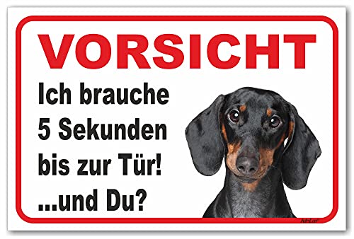 AdriLeo Schild - Vorsicht Kurzhaardackel - 5 Sekunden - (15x20cm) / Achtung Hund Wachhund Dackel Teckel Dachshund von AdriLeo