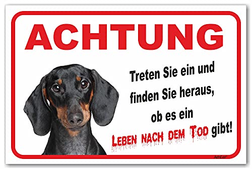 AdriLeo Schild - Vorsicht Kurzhaardackel - Leben nach dem Tod - (20x30cm) / Achtung Hund Wachhund Dackel Teckel Dachshund von AdriLeo