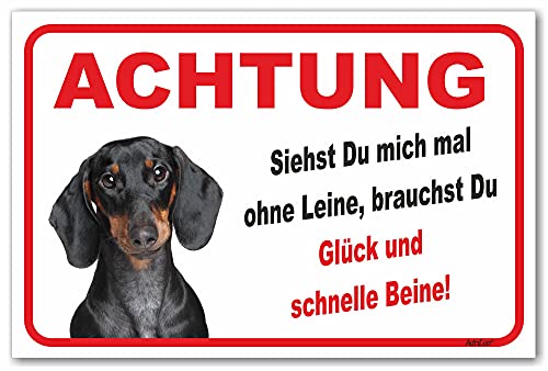 AdriLeo Schild - Vorsicht Kurzhaardackel - Ohne Leine - (15x20cm) / Achtung Hund Wachhund Dackel Teckel Dachshund von AdriLeo