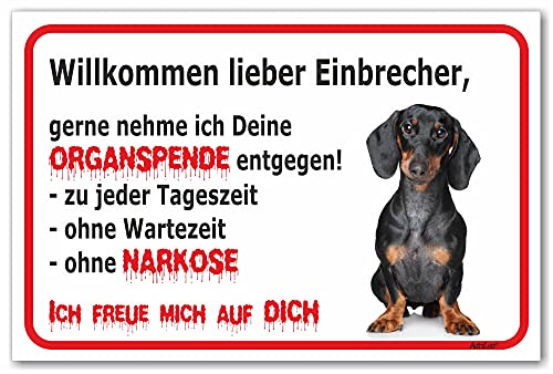 AdriLeo Schild - Vorsicht Kurzhaardackel - Willkommen lieber Einbrecher - (20x30cm) / Achtung Hund Wachhund Dackel Teckel Dachshund robust langlebig UV-beständig wetterfestes Warnschild von AdriLeo