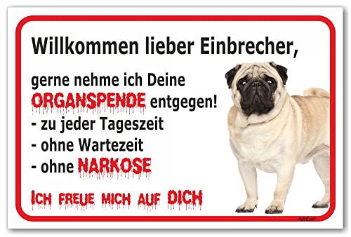 AdriLeo Schild - Vorsicht Mops - Willkommen lieber Einbrecher - (20x30cm) / Achtung beige fawn Hund Wachhund von AdriLeo