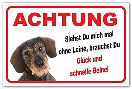 AdriLeo Schild - Vorsicht Rauhaardackel - Ohne Leine - (30x40cm) / Achtung Hund Wachhund Dackel Teckel Dachshund robust langlebig UV-beständig wetterfestes Warnschild von AdriLeo