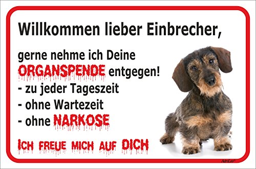 AdriLeo Schild - Vorsicht Rauhaardackel - Willkommen Lieber Einbrecher - (40x60cm) / Achtung Hund Wachhund Dackel Teckel Dachshund von AdriLeo