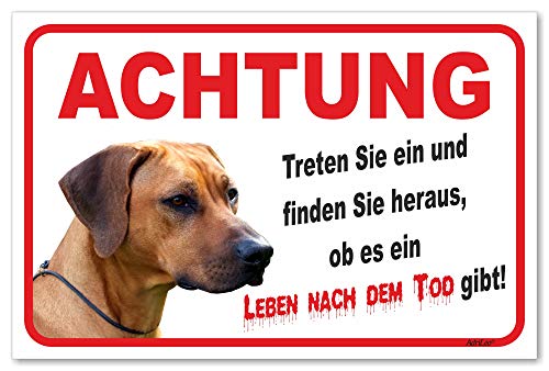 AdriLeo Schild - Vorsicht Rhodesian Ridgeback - Leben nach dem Tod - (15x20cm) / Achtung Hund Wachhund von AdriLeo