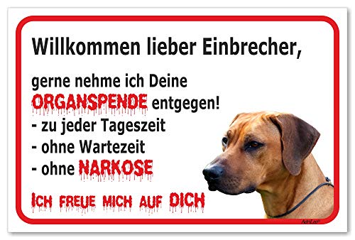 AdriLeo Schild - Vorsicht Rhodesian Ridgeback - Willkommen lieber Einbrecher - (15x20cm) / Achtung Hund Wachhund robust langlebig UV-beständig wetterfestes Warnschild von AdriLeo