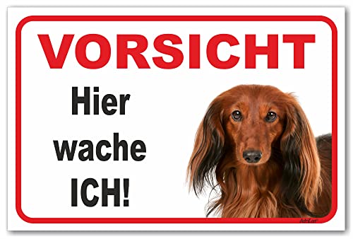 AdriLeo Schild - Vorsicht Roter Langhaardackel - Hier wache ich - (20x30cm) / Achtung Hund Wachhund Dackel Teckel Dachshund von AdriLeo