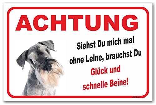 AdriLeo Schild - Vorsicht Schnauzer- Ohne Leine - (15x20cm) / Achtung Familienhund Wachhund Hund von AdriLeo