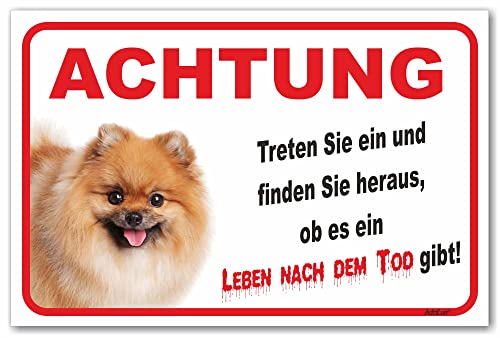 AdriLeo Schild - Vorsicht Spitz - Leben nach dem Tod - (30x40cm) / Achtung Hund Wachhund Zwergspitz Pomeranian von AdriLeo