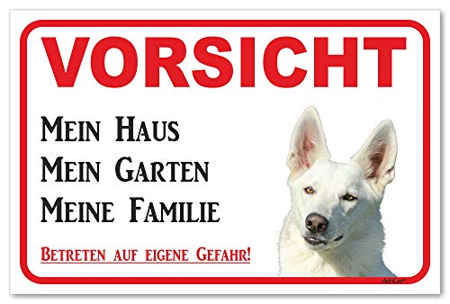 AdriLeo Schild - Vorsicht Weißer Schäferhund - Mein Haus - (15x20cm) / Achtung Hund Wachhund von AdriLeo