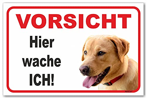 AdriLeo Schild - Vorsicht blonder Labrador Retriever - Hier wache ich - (15x20cm) / Achtung Hund Wachhund robust langlebig UV-beständig wetterfestes Warnschild (beige/gelb) von AdriLeo
