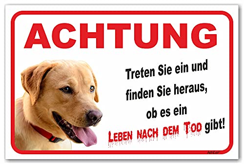 AdriLeo Schild - Vorsicht blonder Labrador Retriever - Leben nach dem Tod - (20x30cm) / Achtung Hund Wachhund (beige/gelb) von AdriLeo