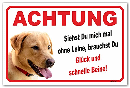 AdriLeo Schild - Vorsicht blonder Labrador Retriever - Ohne Leine - (15x20cm) / Achtung Hund Wachhund (beige/gelb) von AdriLeo