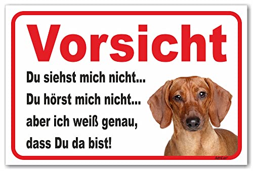 AdriLeo Schild - Vorsicht roter Kurzhaardackel - Du siehst mich nicht - (15x20cm) / Achtung Hund Wachhund Dackel Teckel Dachshund von AdriLeo