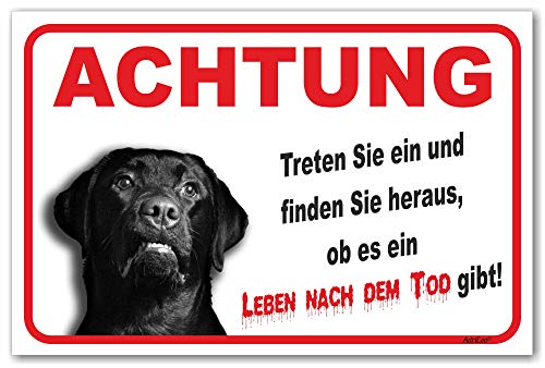 AdriLeo Schild - Vorsicht schwarzer Labrador Retriever - Leben nach dem Tod - (20x30cm) / Achtung Hund Wachhund robust langlebig UV-beständig wetterfestes Warnschild von AdriLeo