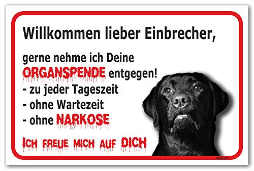 AdriLeo Schild - Vorsicht schwarzer Labrador Retriever - Willkommen lieber Einbrecher - (30x40cm) / Achtung Hund Wachhund von AdriLeo