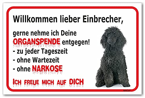 AdriLeo Schild - Vorsicht schwarzer Pudel - Willkommen lieber Einbrecher - (30x40cm) / Achtung Hund Wachhund von AdriLeo