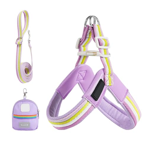 Adsfvs Hundegeschirr und Führleine,Verstellbares Geschirr Für Kleine Hunde - Ergonomischer Sitz Sicherheit Mit Tasche Für Training Spaziergänge Aktivitäten Adsfvs Hundegeschirr und Führleine,Verstellbares Geschirr Für Kleine Hunde - Ergonomischer Sitz Sicherheit Mit Tasche Für Training Spaziergänge Aktivitäten von Adsfvs