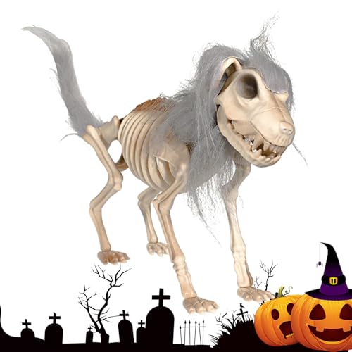 Adsfvs Hundeskelett Deko | Gruselig Tier Modell,Flexible Schädel Deko Mit Haaren Gruseliges Zubehör Für Rasen Tisch Terrasse Dekoration Verbesserte Halloween Atmosphäre Adsfvs Hundeskelett Deko | Gruselig Tier Modell,Flexible Schädel Deko Mit Haaren Gruseliges Zubehör Für Rasen Tisch Terrasse Dekoration Verbesserte Halloween Atmosphäre von Adsfvs