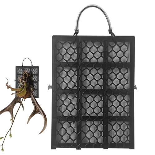 Adsfvs Staghorn Fern Wandhalterung - Vertikale Pflanzenwand Pflanzrahmen Brett - Für Balkon Terrasse Wohnzimmer Innenbereich Und Außenbereich von Adsfvs