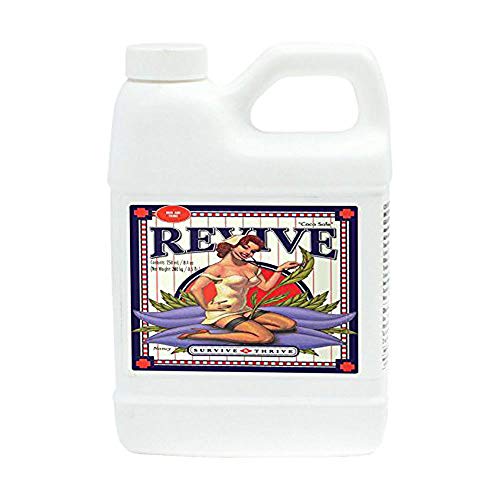 Advanced Nutrients Revive 250 ml Advanced Nutrients Revive 250 ml von Advanced Nutrients