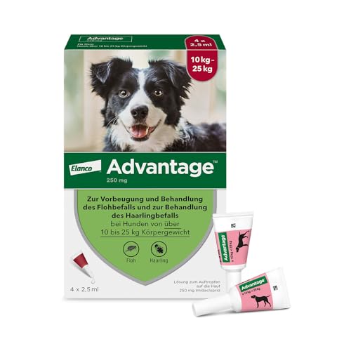 Elanco Advantage Spot-On 250 für mittelgroße Hunde von 10 bis 25 kg Körpergewicht, schnelle Bekämpfung von Flöhen und Schutz vor Flohbefall für bis zu 4 Wochen, 4 Pipetten mit 2,5 ml Lösung von Advantage