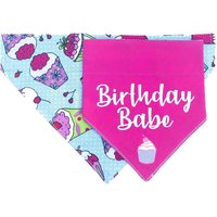 Birthday Babe Hundehalstuch, Bandana, Über Das Halsband, Doppelseitig von AdventureTails