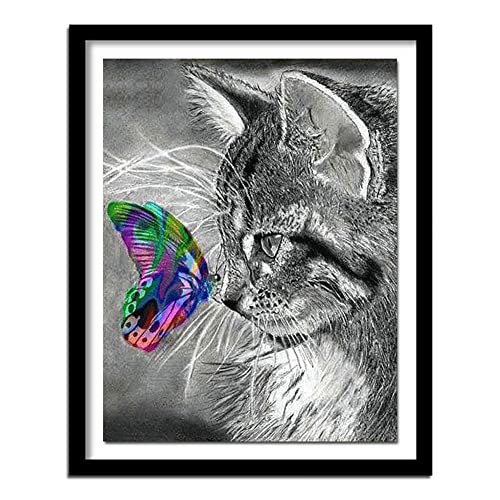 5D Kinder Diamond Painting Set Tierkatze DIY Diamant Malerei Kits Kristall Strass Stickerei Kreuzstich Arts Craft Mosaik Gemälde für Büro Room Wall Haus Dekoration 70x90cm A2620 von AeBoo