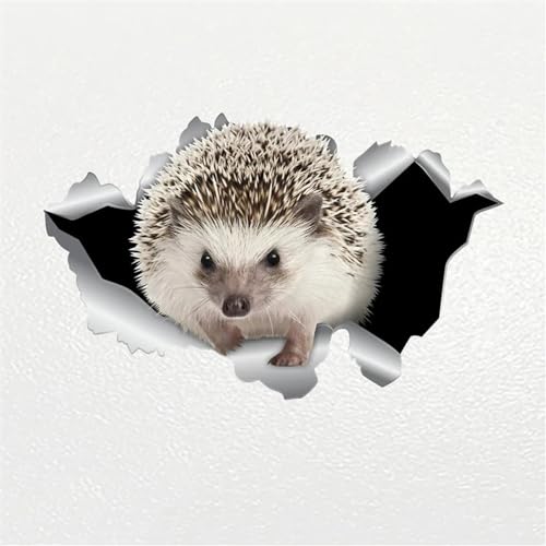AeRko Niedlicher Igel Haustier Auto Aufkleber Persönlichkeit Vinyl Aufkleber Dekor Auto Styling Stoßstange Heckscheibe (Größe: 20CM) von AeRko