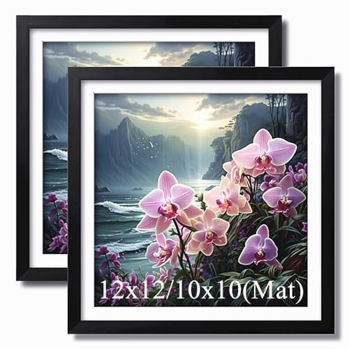 2 Stück Diamond Painting Holzrahmen, geeignet für 30 x 30 cm Diamant Malerei und Foto, Diamantkunst Holzrahmen mit Matte, Diamant Malerei Leinwand Bild Wanddekoration (Schwarz) von Aeadar