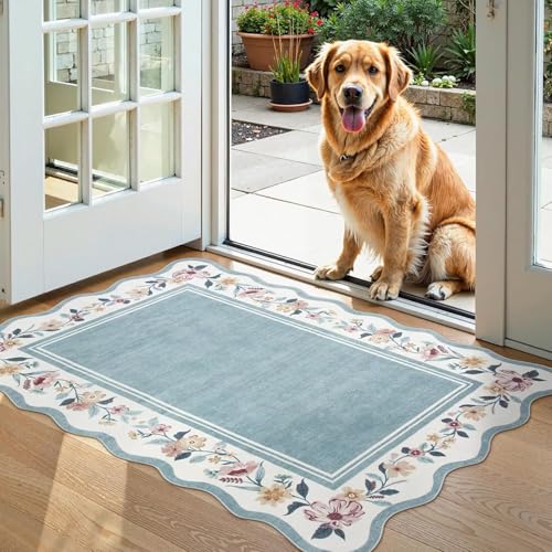 Aeoauter Fussmatte Innen rutschfest 60x90cm - Dünn Türmatte Saugstarke Fußmatte Schmutzfangmatte Eingangsteppich Sauberlaufmatte Eingangsmatte Blau von Aeoauter
