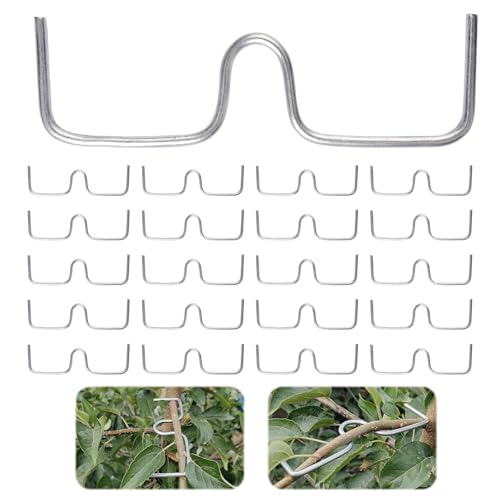 30 Stück Astzieher Astspreizer für Obstbäume,13cm Astzieher Halter für Obstzweige, Metall Astspreizer Obstbaum Rostet Nicht leicht,Wiederverwendbar für Gartenbäume,Garten Wachsen Unterstützung von AetherAurora