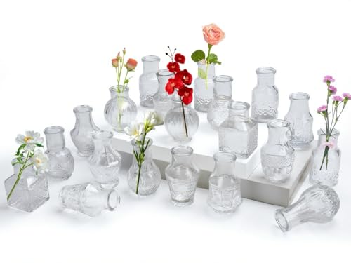 Aevcvok 20 Stück Kleine Glasvase,Vasen Set Vintage Mini Vasen Deko Set Verschiedene Groessen Blumenvase für Tischdeko Zuhause Hochzeiten Tafelaufsätze Party Wohnzimmer Geburtstage Feste,Transparent von Aevcvok