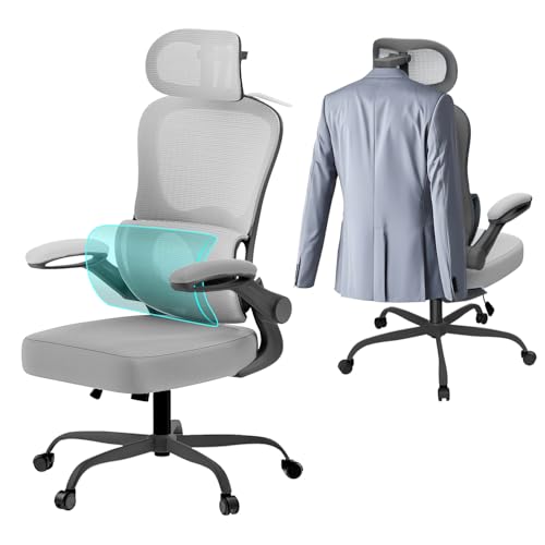 Aevoriax Ergonomischer Bürostuhl, dynamische Lendenwirbelstütze, Dickes weiches Sitzkissen, geeignet für Home-Office, mehrfach verstellbare Kopfstütze – schwarzer Rahmen mit grauem Netz von Aevoriax