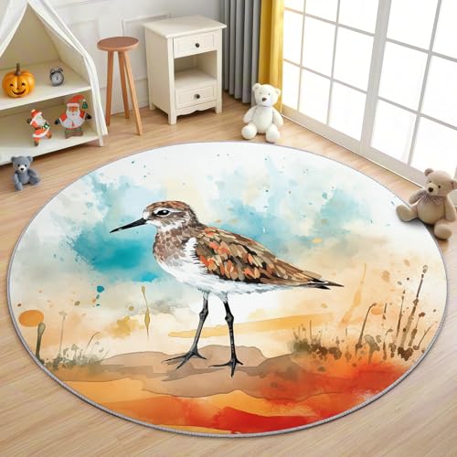 AevuCub Bird Teppich Rund 150cm Kinderzimmer - Waschbare Teppiche Wohnzimmer Vogelmotiv - Runder Teppich 150 Durchmesser - Bettvorleger Schlafzimmer rutschfest Weich AevuCub Bird Teppich Rund 150cm Kinderzimmer - Waschbare Teppiche Wohnzimmer Vogelmotiv - Runder Teppich 150 Durchmesser - Bettvorleger Schlafzimmer rutschfest Weich von AevuCub