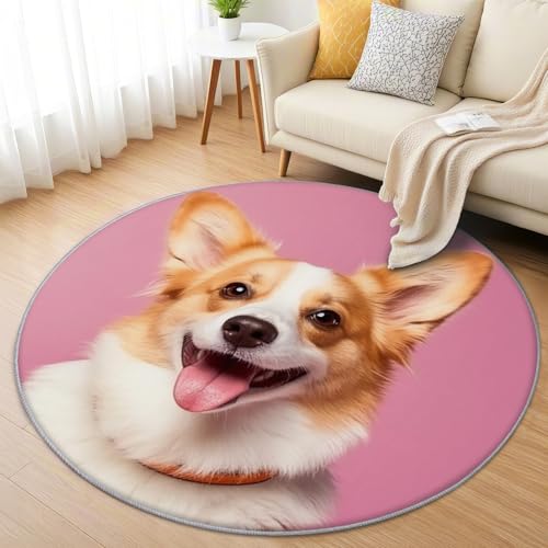 AevuCub Corgi Teppich Rund 100cm Kurzflor - Waschbare Teppiche Wohnzimmer Haustier Hund - Runder Teppich 100cm Durchmesser Kinderzimmer - Bettvorleger Schlafzimmer rutschfest Weich AevuCub Corgi Teppich Rund 100cm Kurzflor - Waschbare Teppiche Wohnzimmer Haustier Hund - Runder Teppich 100cm Durchmesser Kinderzimmer - Bettvorleger Schlafzimmer rutschfest Weich von AevuCub