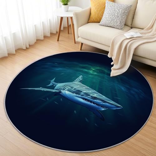 AevuCub Hai Teppich Rund 200cm Kurzflor - Waschbare Teppiche Wohnzimmer Meerestier Haifisch - Runder Teppich 200 cm Durchmesser Kinderzimmer - Bettvorleger Schlafzimmer rutschfest Weich AevuCub Hai Teppich Rund 200cm Kurzflor - Waschbare Teppiche Wohnzimmer Meerestier Haifisch - Runder Teppich 200 cm Durchmesser Kinderzimmer - Bettvorleger Schlafzimmer rutschfest Weich von AevuCub