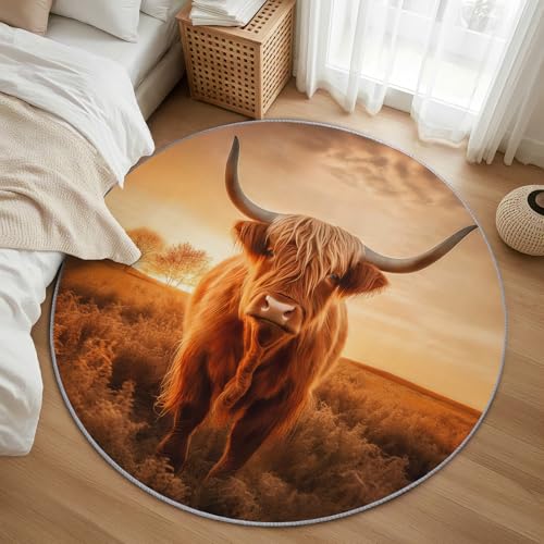 AevuCub Highland Cattle Teppich Rund 120cm Kurzflor - Waschbare Teppiche Wohnzimmer Bauernhoftiere - Runder Teppich 120 Durchmesser Kinderzimmer - Bettvorleger Schlafzimmer rutschfest Weich von AevuCub