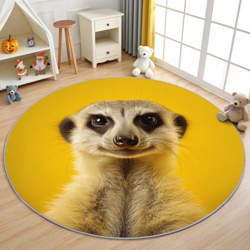 AevuCub Meerkat Teppich Rund 160 Kurzflor - Waschbare Teppiche Wohnzimmer Wild Tier - Runder Teppich 160 Durchmesser Kinderzimmer - Bettvorleger Schlafzimmer rutschfest Weich von AevuCub