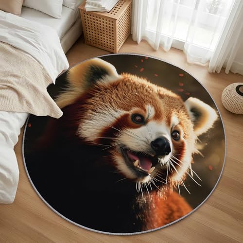 AevuCub Red Panda Teppich Rund 100cm Kurzflor - Waschbare Teppiche Wohnzimmer Wilde Tiere - Runder Teppich 100cm Durchmesser Kinderzimmer - Bettvorleger Schlafzimmer rutschfest Weich von AevuCub
