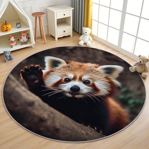 AevuCub Red Panda Teppich Rund 160 Kurzflor - Waschbare Teppiche Wohnzimmer Waldtiere - Runder Teppich 160 Durchmesser Kinderzimmer - Bettvorleger Schlafzimmer rutschfest Weich AevuCub Red Panda Teppich Rund 160 Kurzflor - Waschbare Teppiche Wohnzimmer Waldtiere - Runder Teppich 160 Durchmesser Kinderzimmer - Bettvorleger Schlafzimmer rutschfest Weich von AevuCub